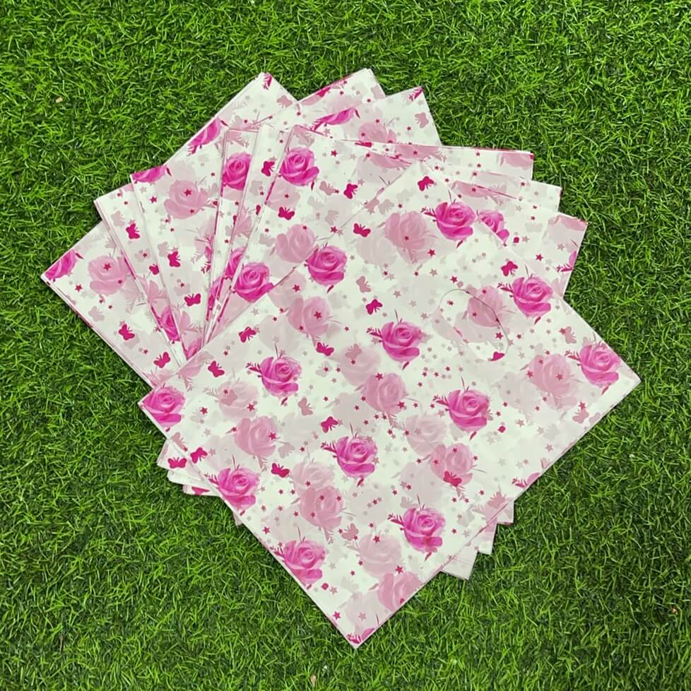 Bolsa plastica c/disenos 20x25100pcs 51141-2