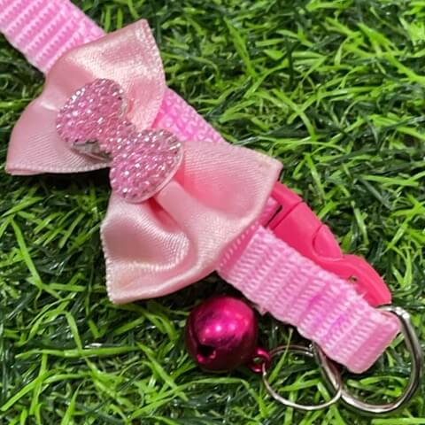 Collar color p/mascota lazo51089-339