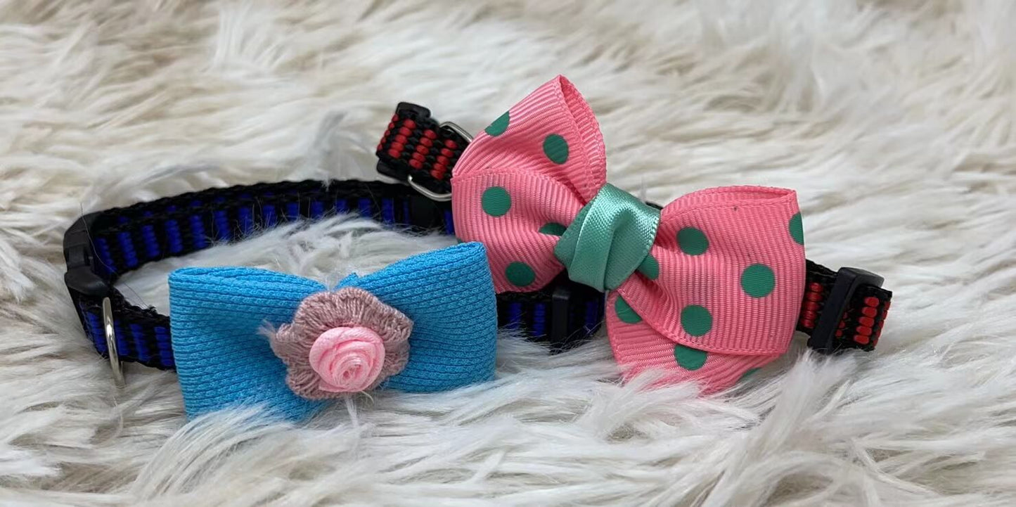 Collar p/mascota c/lazo13878-256/51003-383