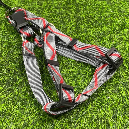 Perchera y correa para mascota 51089-321