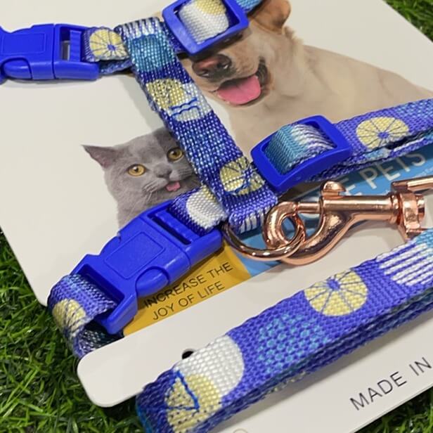 Correa uno para dos mascota90268-66/90268-65