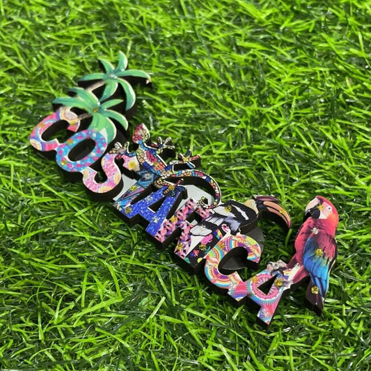 Iman p/refri costa rica 1pc51295-18