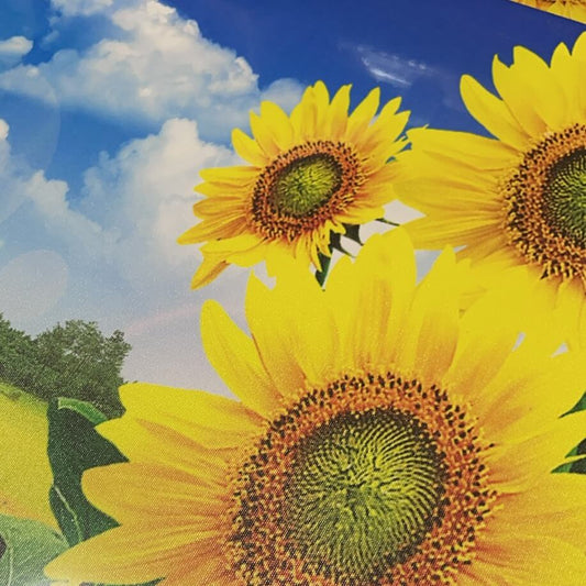 Pintura 50x70 51282-2