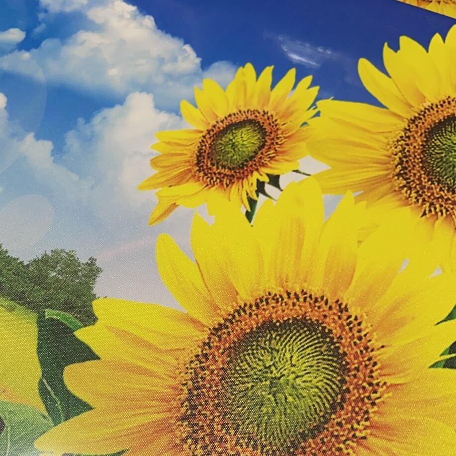 Pintura 50x70 51282-2