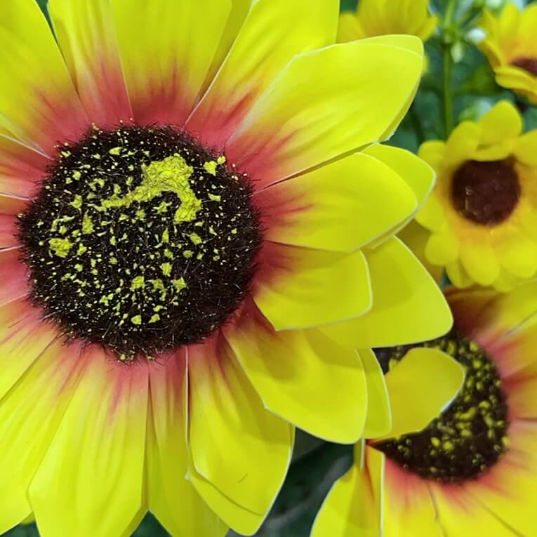 Flor maceta girasol 51236-65