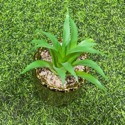 Suculenta c/base dorado51112-132