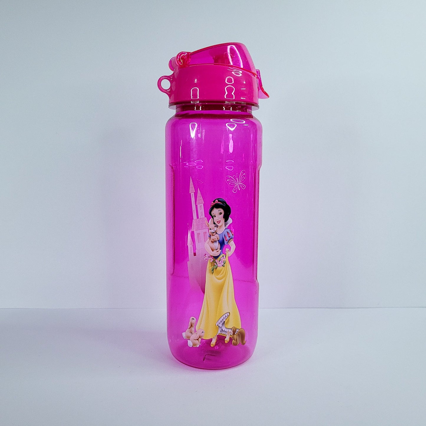 Botella agua d/disney 51088-193