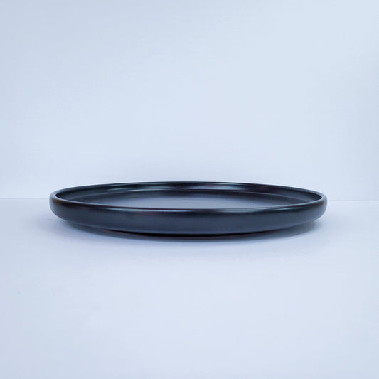 Plato plano 10.5 51104-553/8998511045554