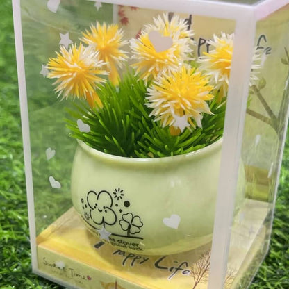 Decoracion 064 51240-16