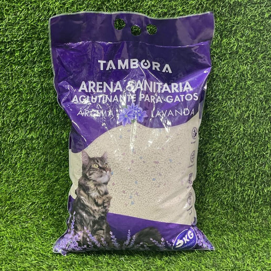 Arena gato