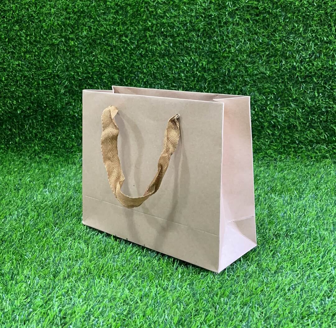 Bolsa regalo cartul/kraft22x18x8 51106-73