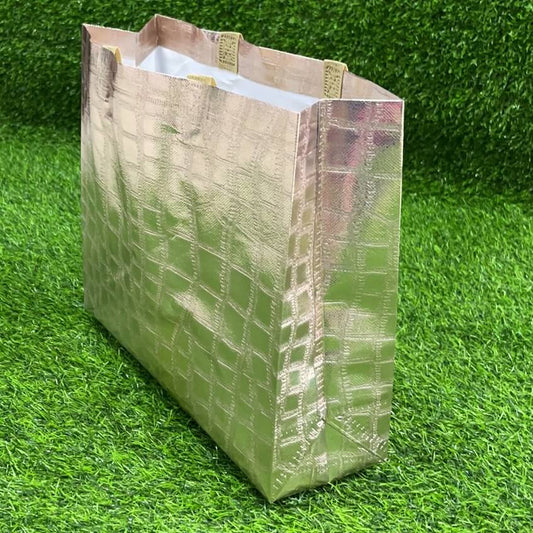 Bolsa platico 32x28x12 51234-22