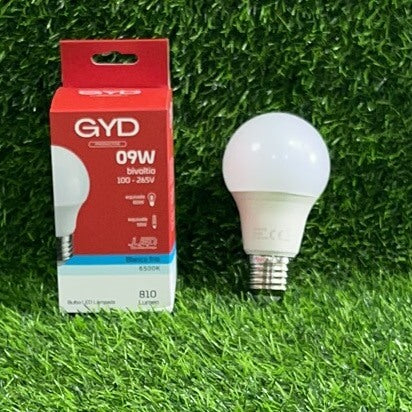Bombillo gyd 9w 51065-19