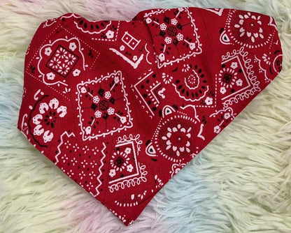 Collar de perro 2.0m13878-147/51003-350/13878-225