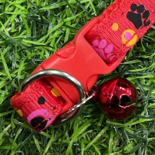 Collar p/mascota huella 51089-353