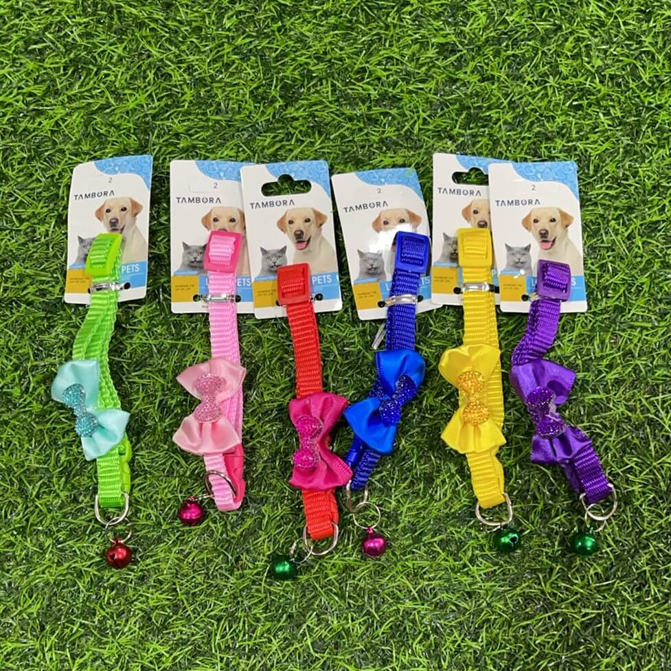 Collar color p/mascota lazo51089-339