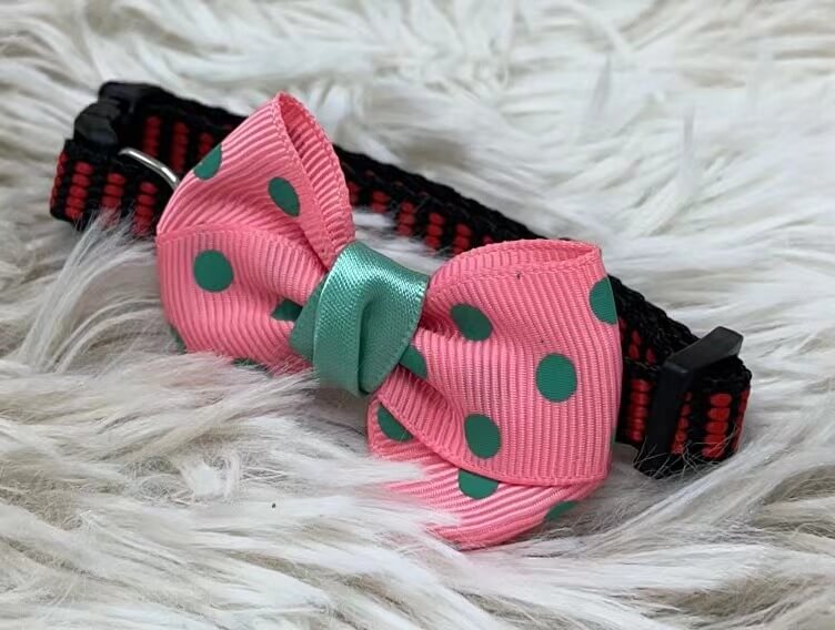 Collar p/mascota c/lazo13878-256/51003-383