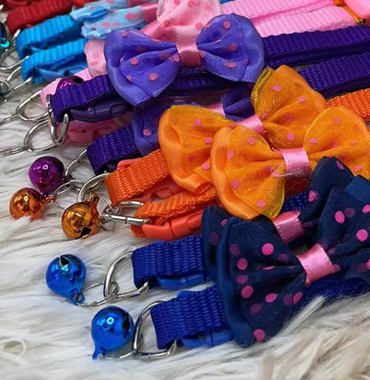 Collar p/mascota d/lazo51003-380/13878-253