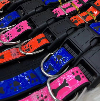 Collar para mascota51003-499/04409