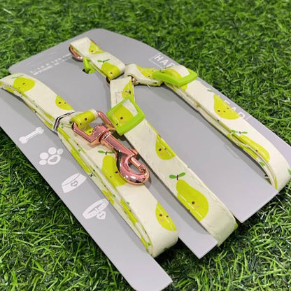 Pechera y correa p/mascota90268-85