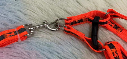 Cuerda y pechera p/mascota51003-734