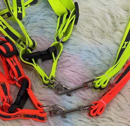 Of. cuerda y pechera p/mascota51003-733