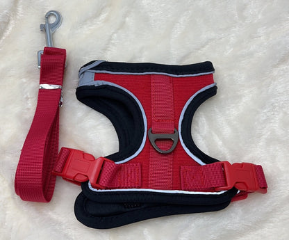 Of. cuerda y pechera sport talla s13878-250