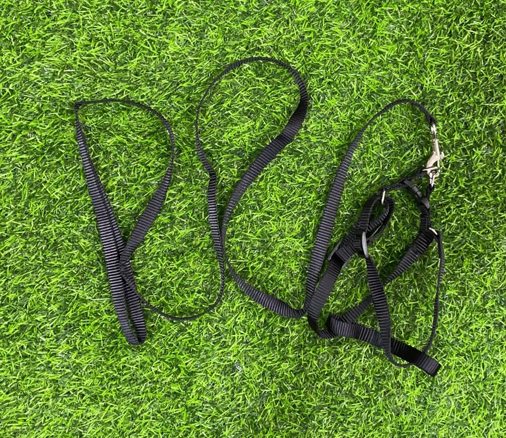 Cuerda y pechera d/nylon 1.051003-149/13878-34