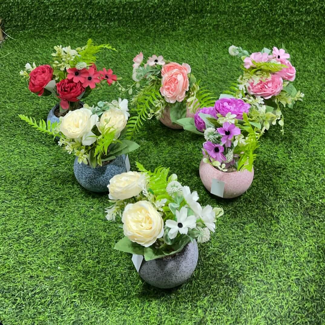 Suculenta d/flor 51112-146