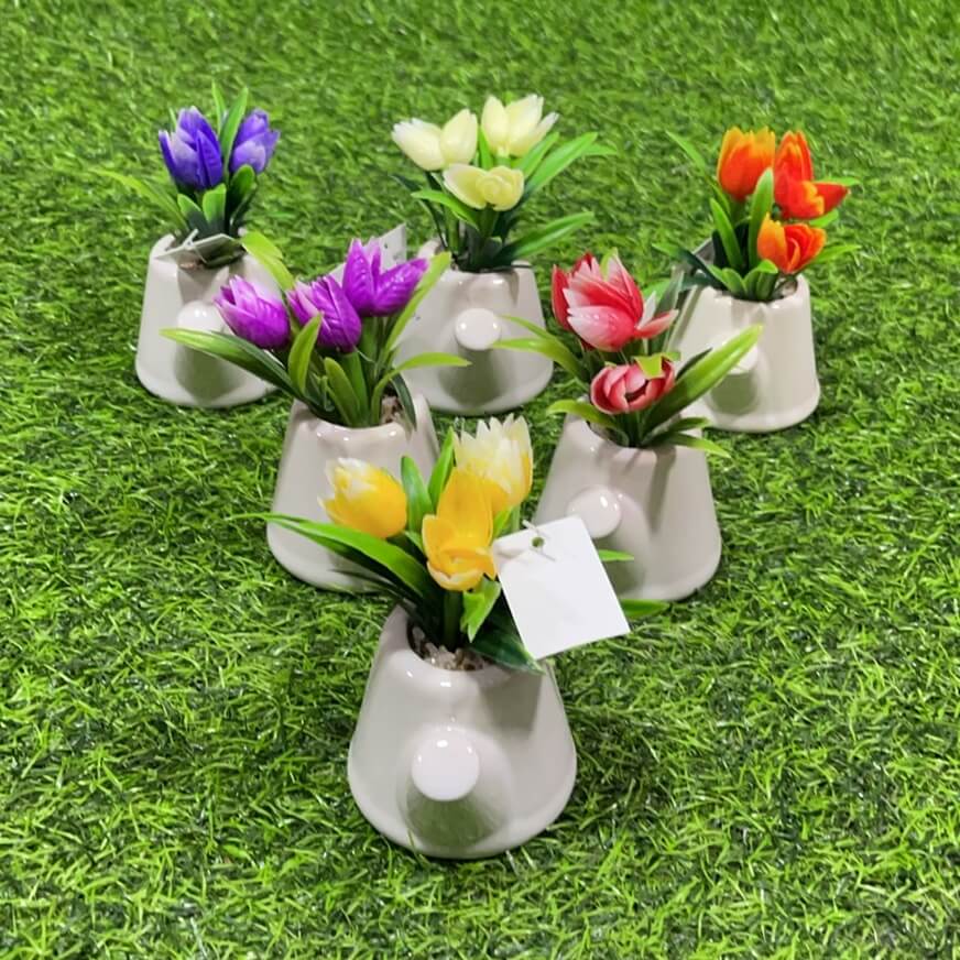 Suculenta d/tetero 51112-143