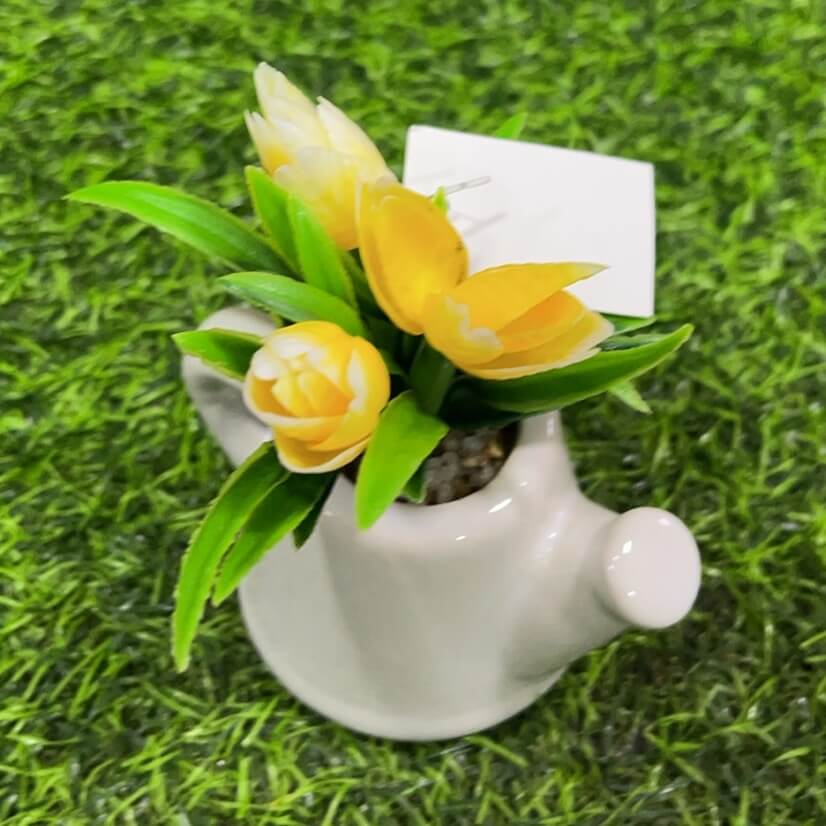 Suculenta d/tetero 51112-143