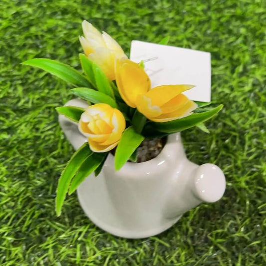 Suculenta d/tetero 51112-143