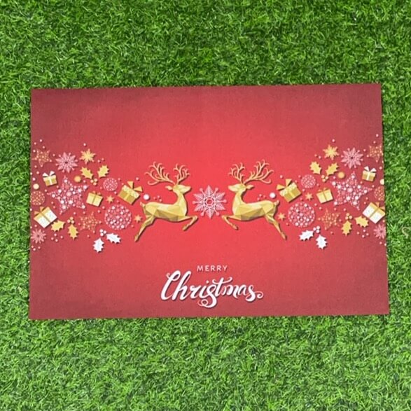 Individual navidad 1pc 51124-124