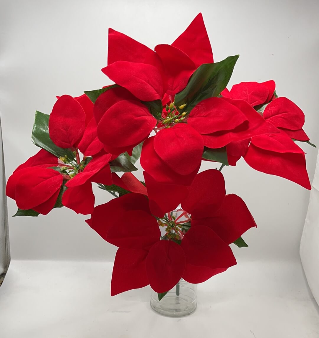 Pastoras navidenas 09418