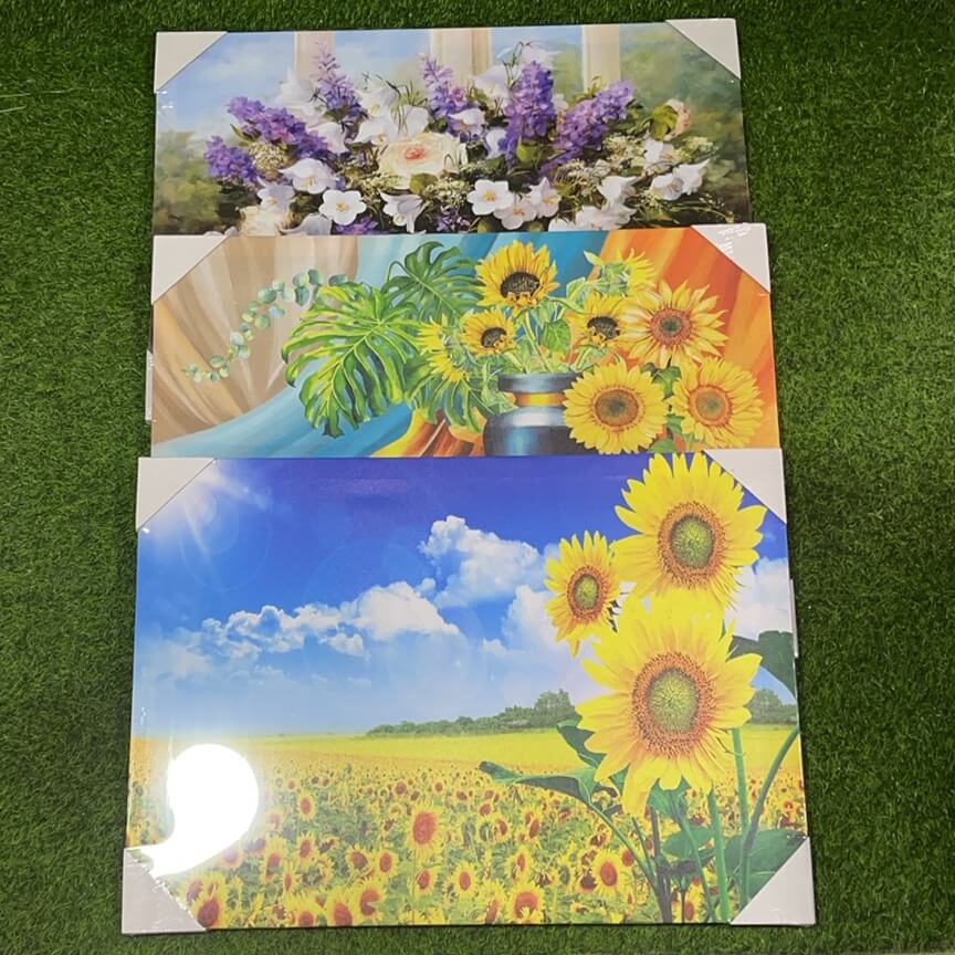 Pintura 50x70 51282-2