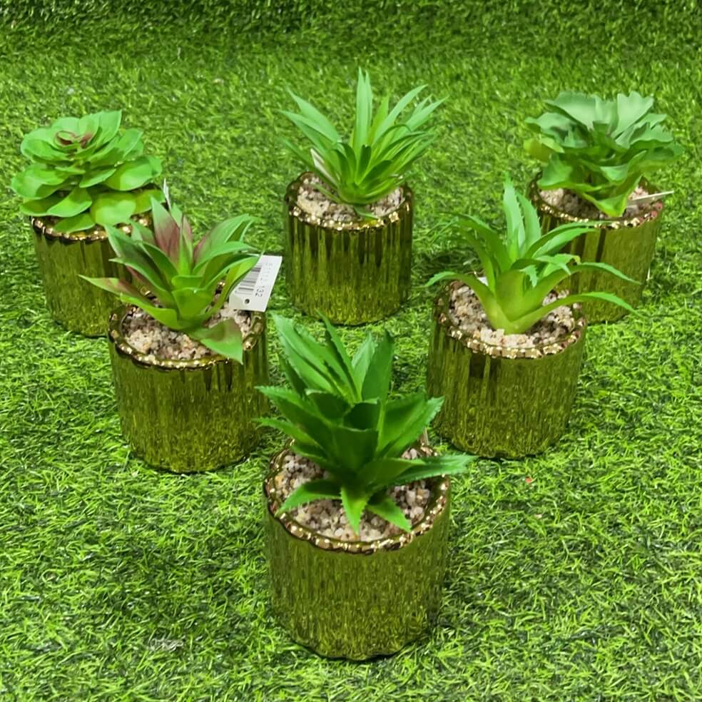 Suculenta c/base dorado51112-132