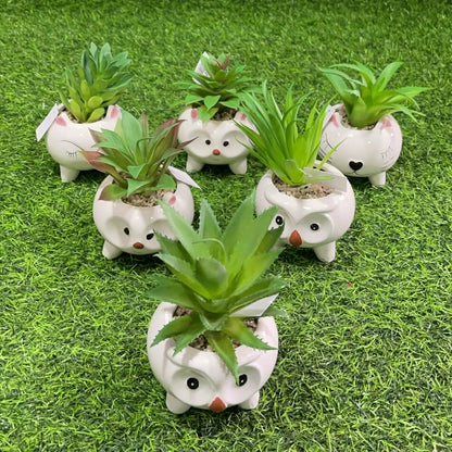 Suculenta d/animal 51112-138