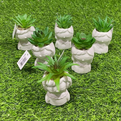 Suculenta d/nina 51112-125