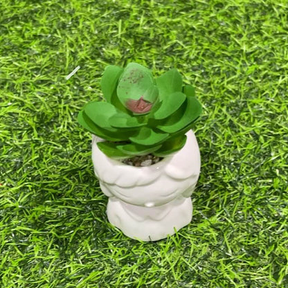 Suculenta d/nina 51112-125