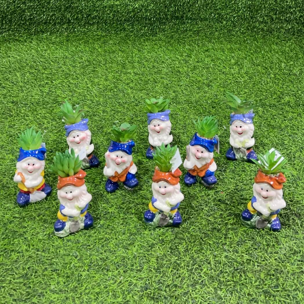 Suculenta d/enano 51112-159