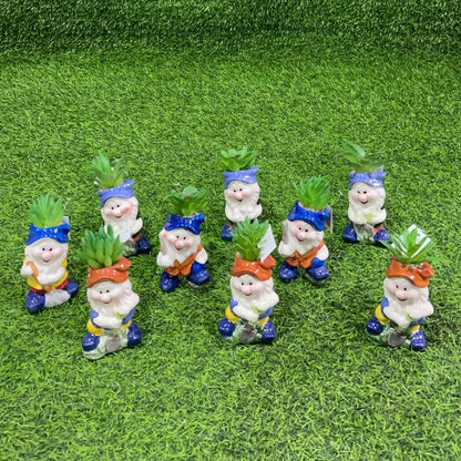 Suculenta d/enano 51112-159