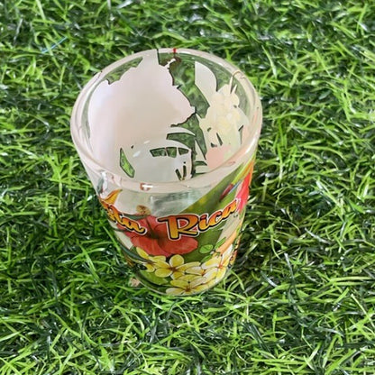 Vasito vidrio d/costa rica 90270-2