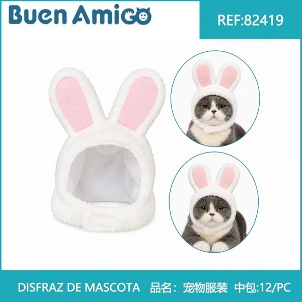 Disfraz de mascota